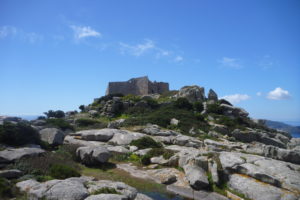 Escursioni Asinara
