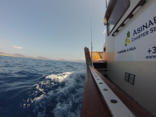 Escursioni in barca Asinara Charter Service