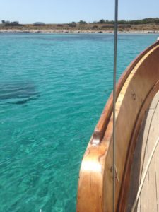 Escursione in barca all'Asinara con Cassiopea