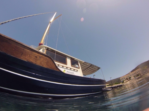Escursioni in barca all&#039;Asinara con Cassiopea