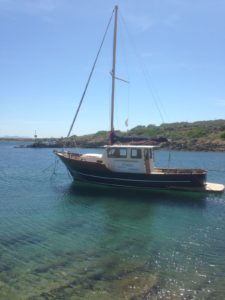 Escursioni in barca all'Asinara con Cassiopea