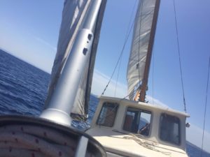 Escursioni in barca all'Asinara con Cassiopea