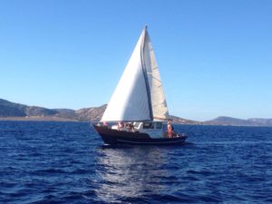 Cassiopea - barca escursion Asinara