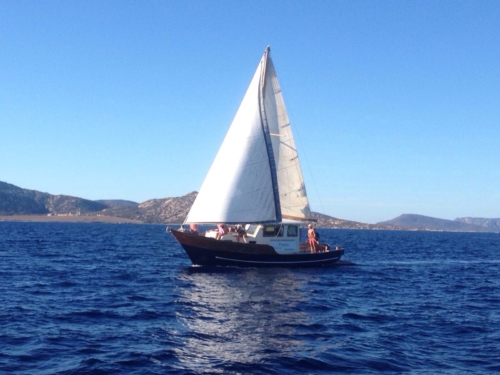 Cassiopea - barca escursion Asinara