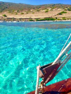 Escursioni in barca Asinara