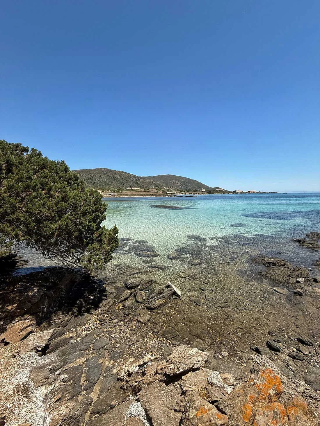 Caletta dalle acque cristalline all'Asinara