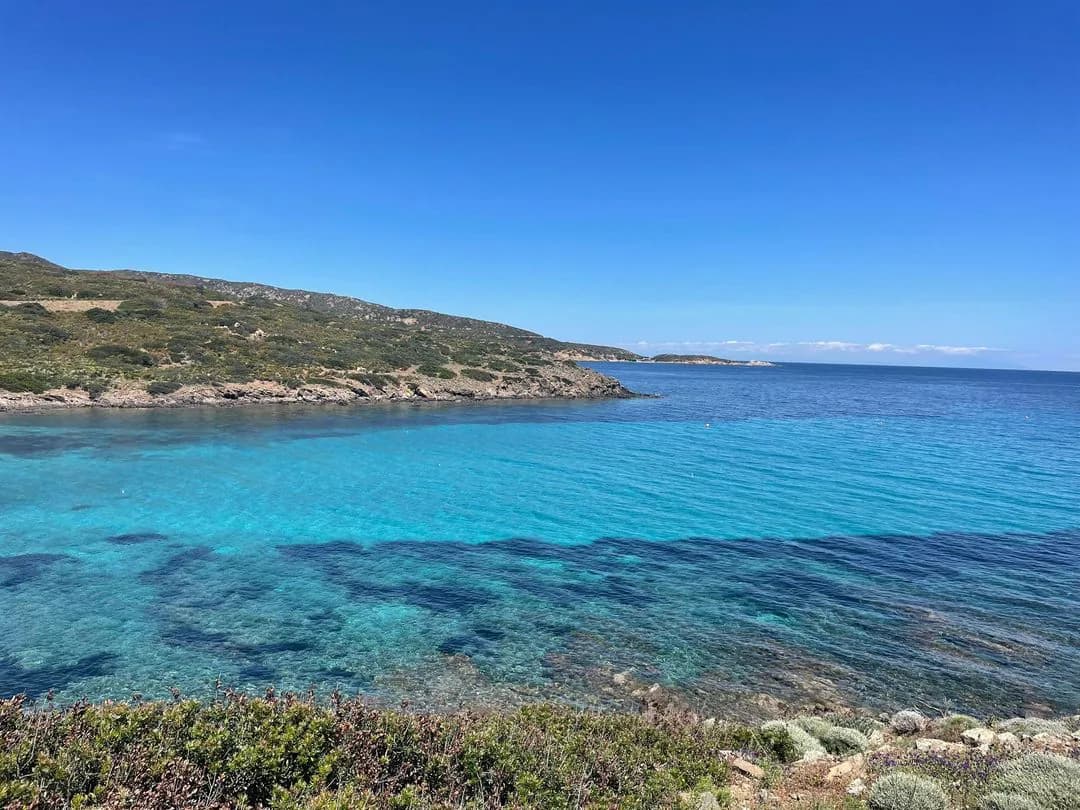 Minibus elettrico Visit Asinara
