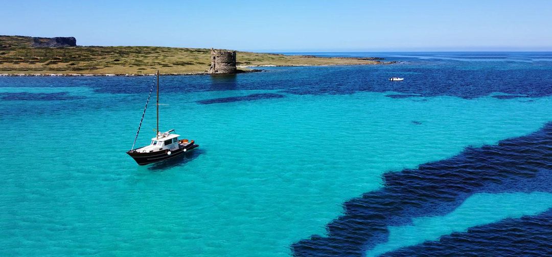 Escursione nelle acque cristalline dell'Asinara