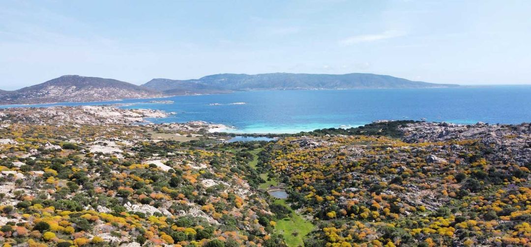 Scopri con noi il Parco dell'Asinara