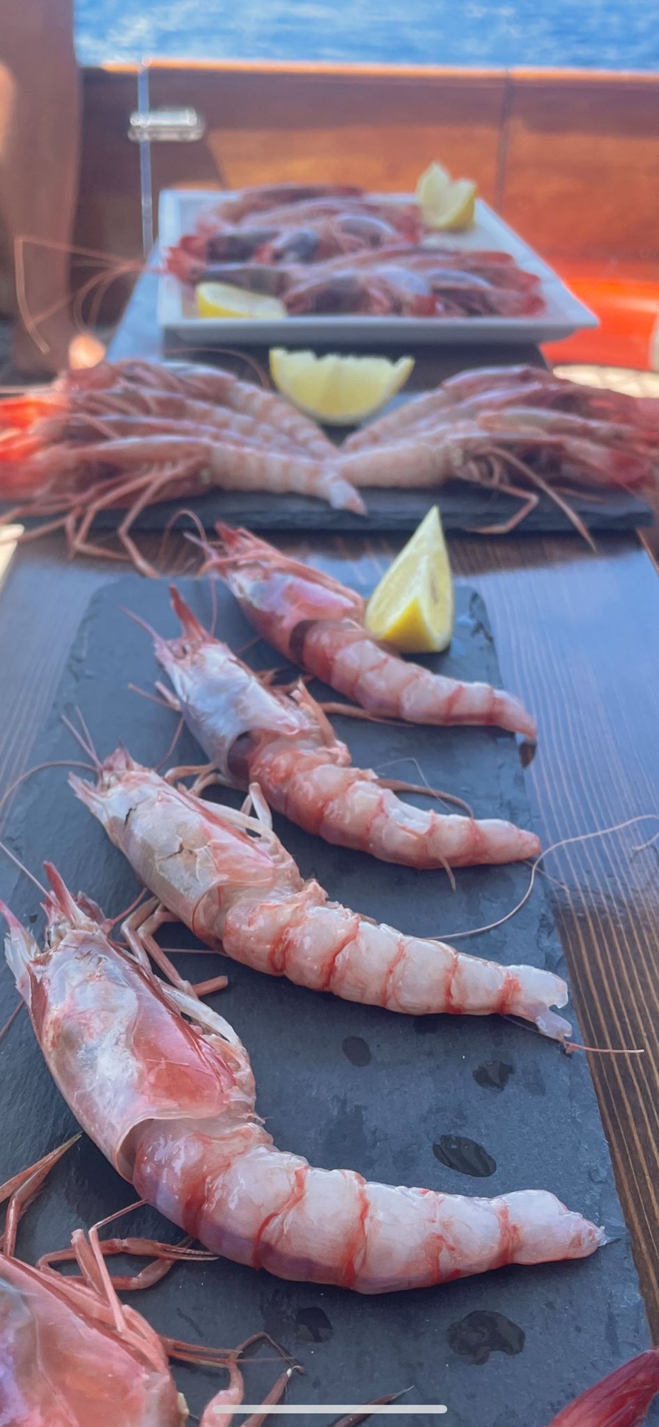 Cassiopea giornata privata