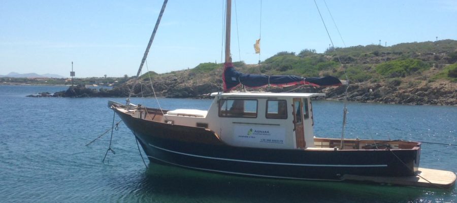 Escursione in barca all'Asinara