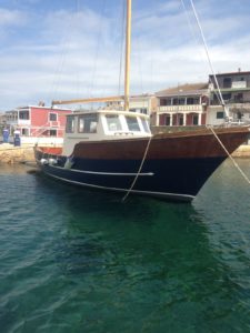 Escursione in barca all'Asinara con Cassiopea